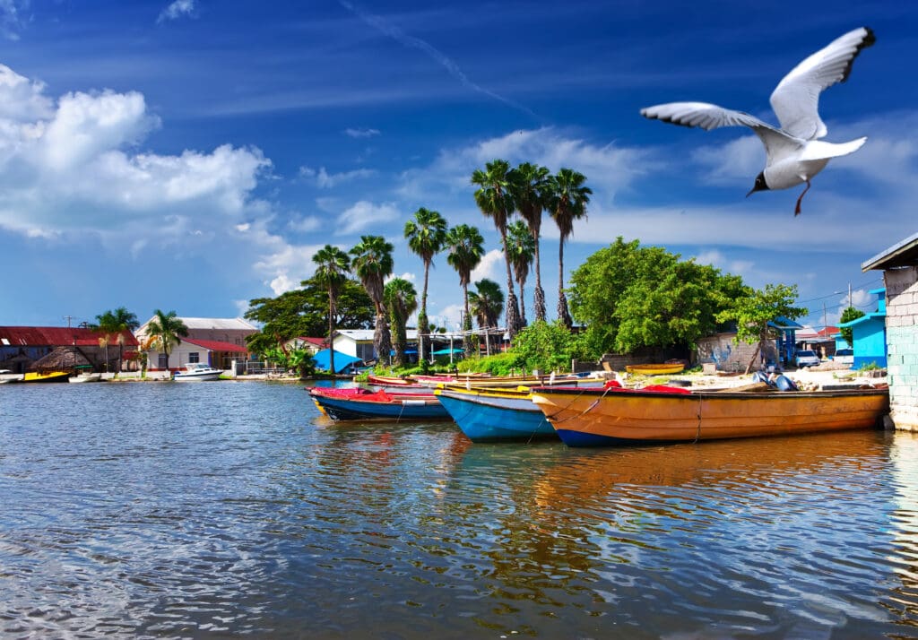 Jamaica.,National,Boats,On,The,Black,River.