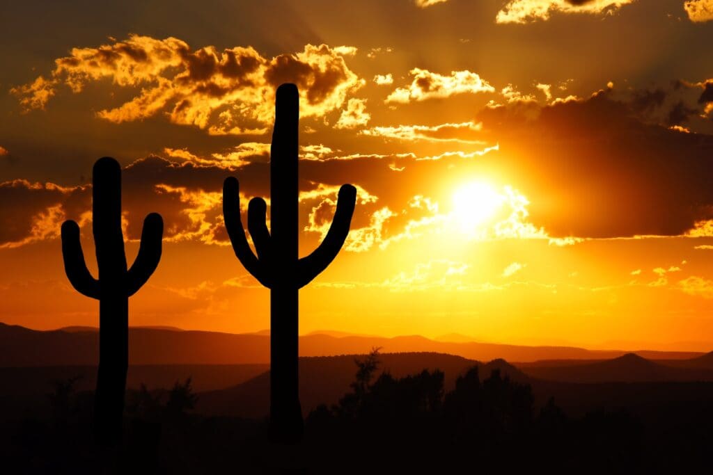 Arizona,Desert,Sunset,With,Giant,Saguaro,Silhouette