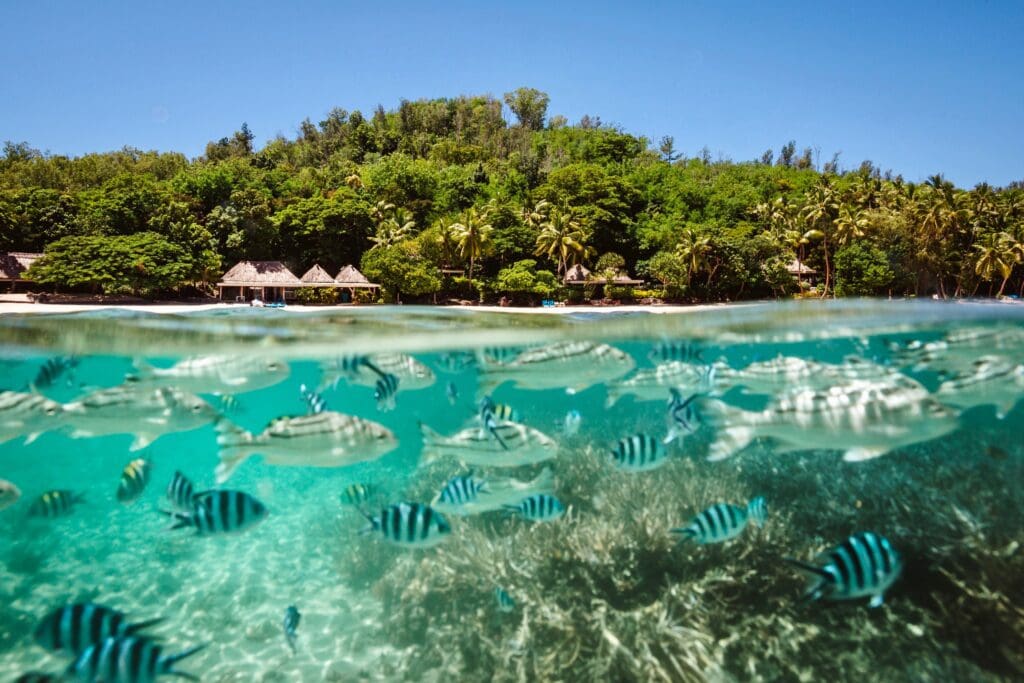 Turtle Island Resort - Accommodation (Exterior)