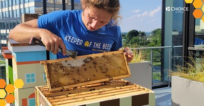 Bees-LIpost
