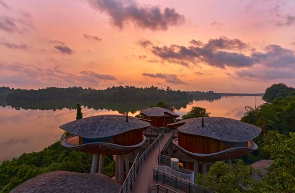 TravMedia_United_Kingdom_medium-sized_1661131_Mandai_Rainforest_Resort_by_Banyan_Tree_Singapore