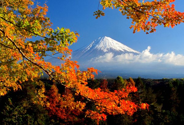 TravMedia_United_Kingdom_medium-sized_1661135_Picture_2__Mt._Fuji._Credit_Tourism_Shizuoka_Japan