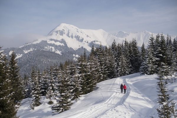 TravMedia_United_Kingdom_medium-sized_1668102_Winter-hike-Ehenbichler-Alm–Tirol-Werbung-Jörg-Koopmann_Picture1